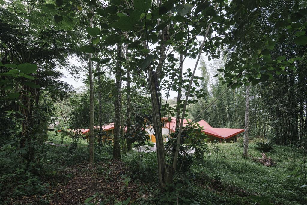 Hostal Tosepan Kali Куэтсалан-дель-Проґресо Екстер'єр фото